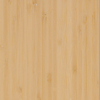 Bamboo